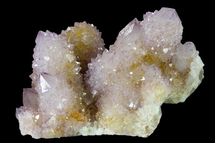 Cactus Quartz (Amethyst) Crystal Cluster - South Africa #137821